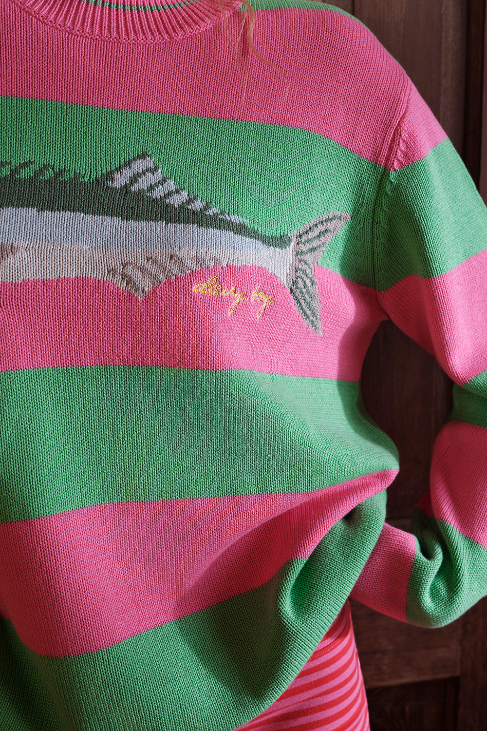 Green and pink striped sweater with a fish design on a wooden surface