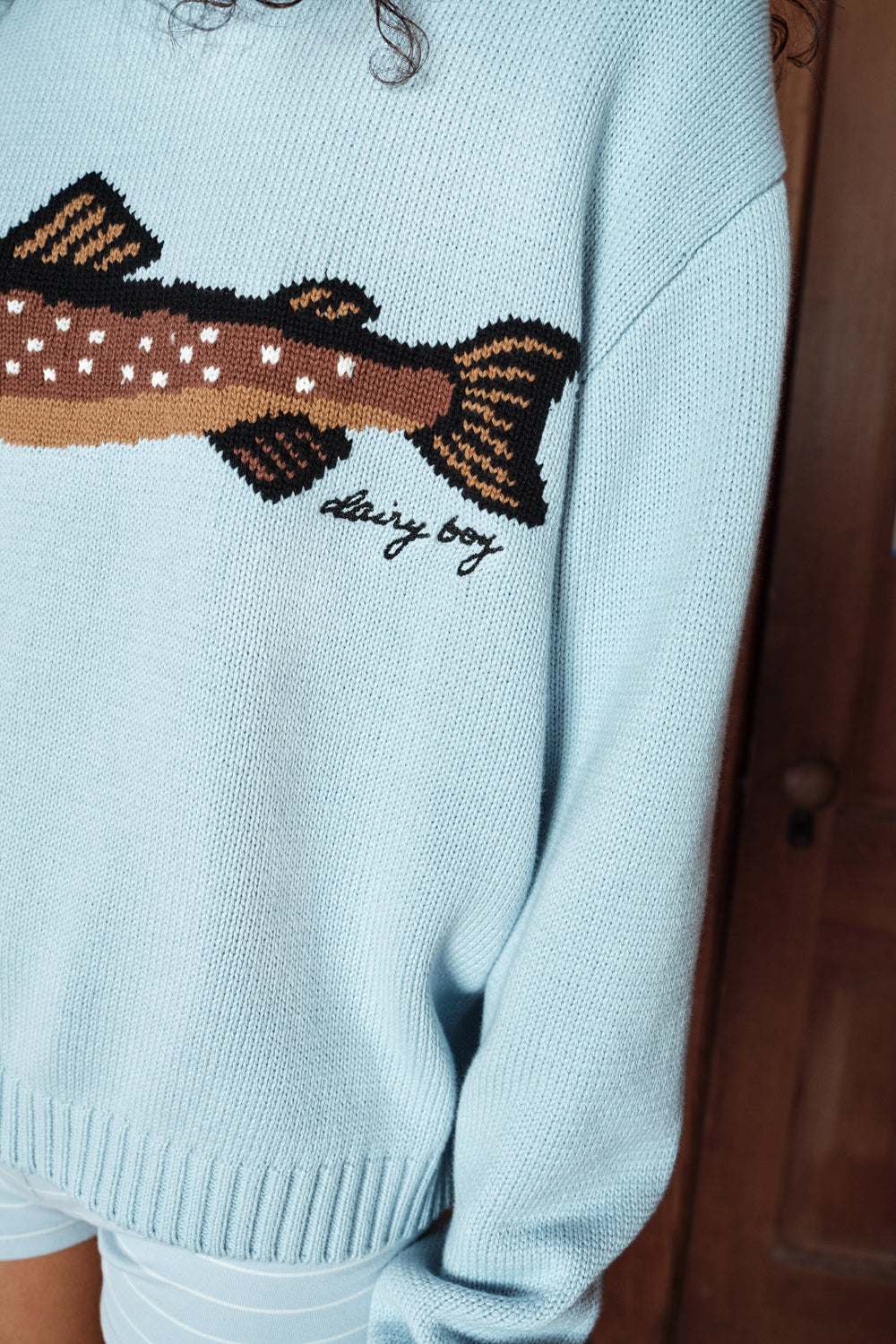 Light blue sweater with a fish design and 'dairy boy' text on a wooden
surface.
|M1