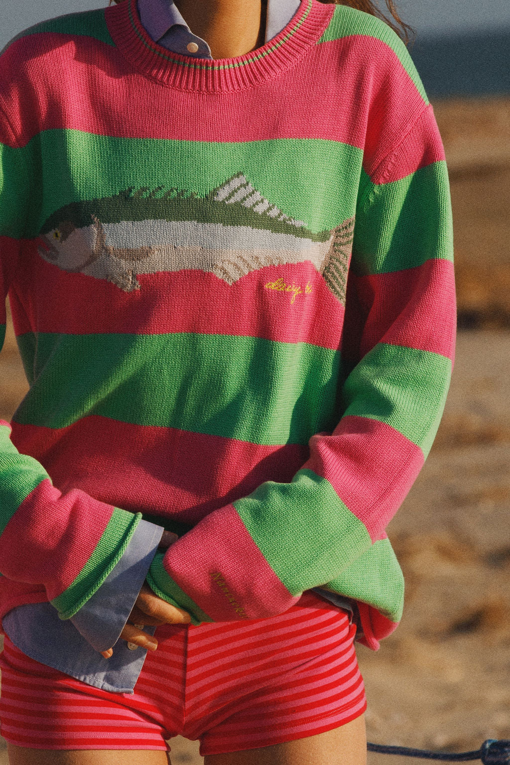 Person wearing a red and green striped sweater with a fish design on a beach.
