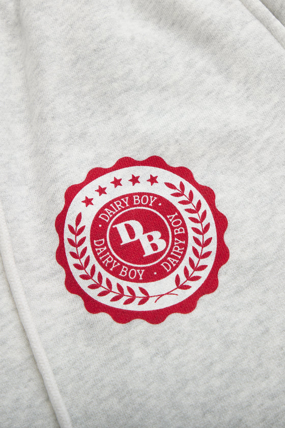 Study Break Straight Leg Sweatpants - Heather Grey/Barn Red