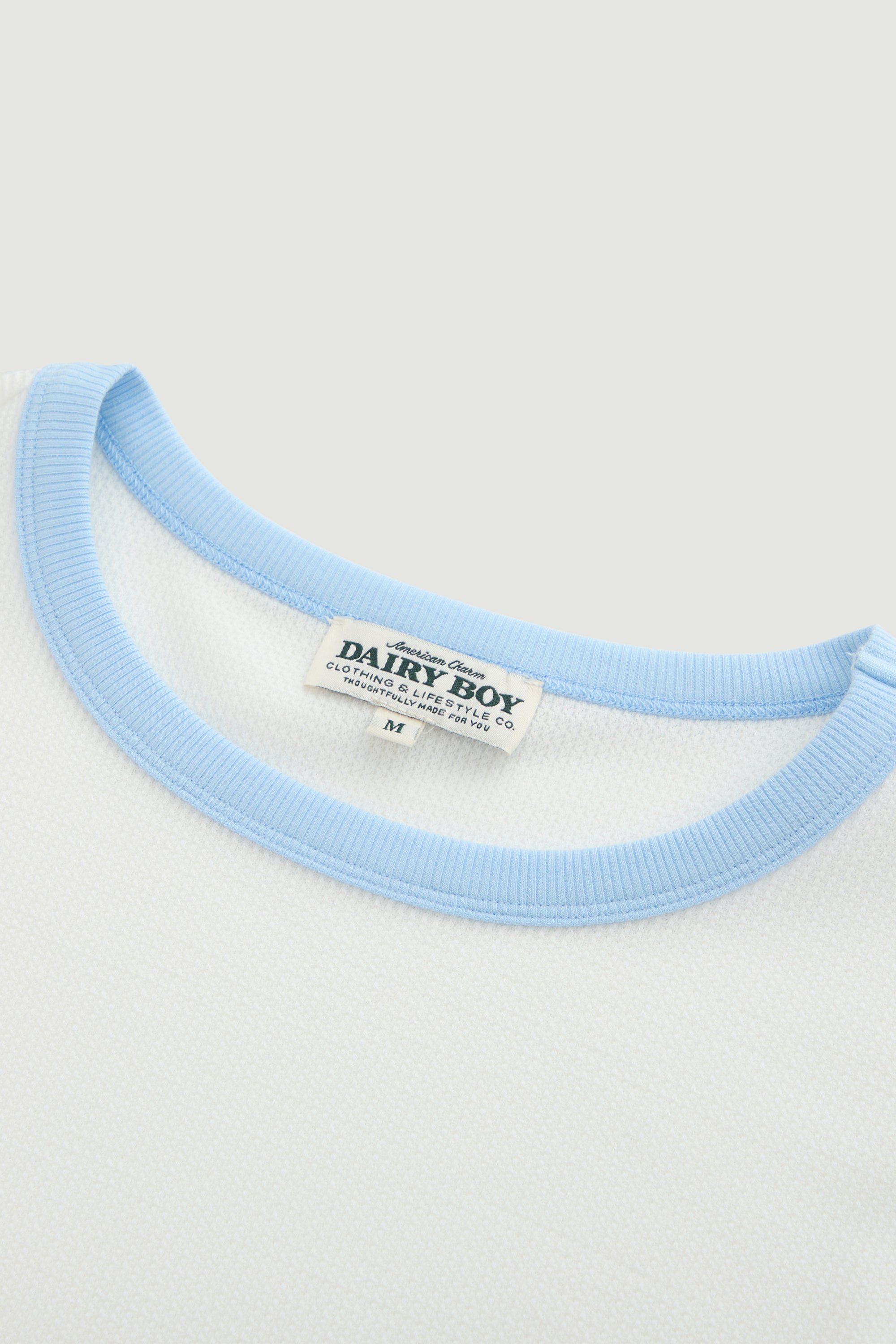 Light blue collar with a label on a white background