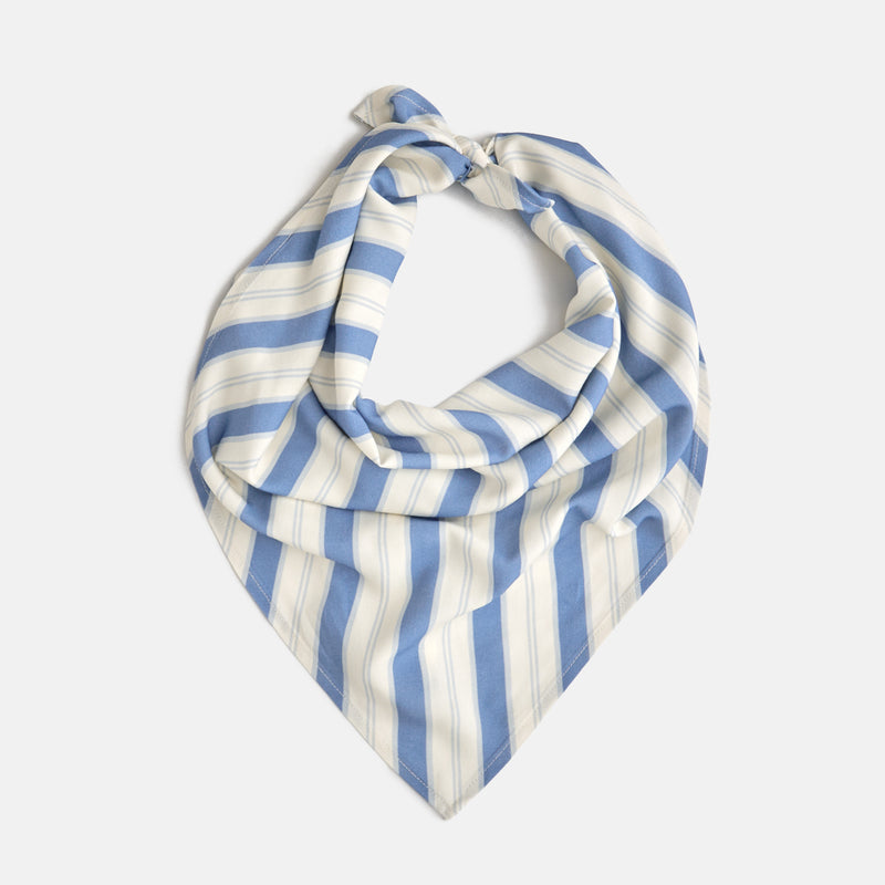 Garden Bed Headscarf - Blue Pinstripe - Dairy Boy