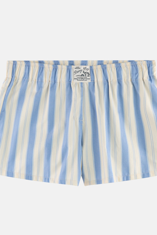 Garden Bed Boxer Shorts - Blue Pinstripe