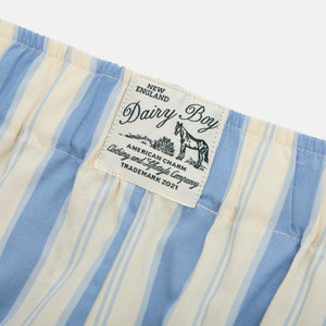 Garden Bed Boxer Shorts - Blue Pinstripe