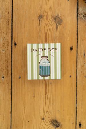 Cheeky Undie Pack - Green Pinstripe Multi