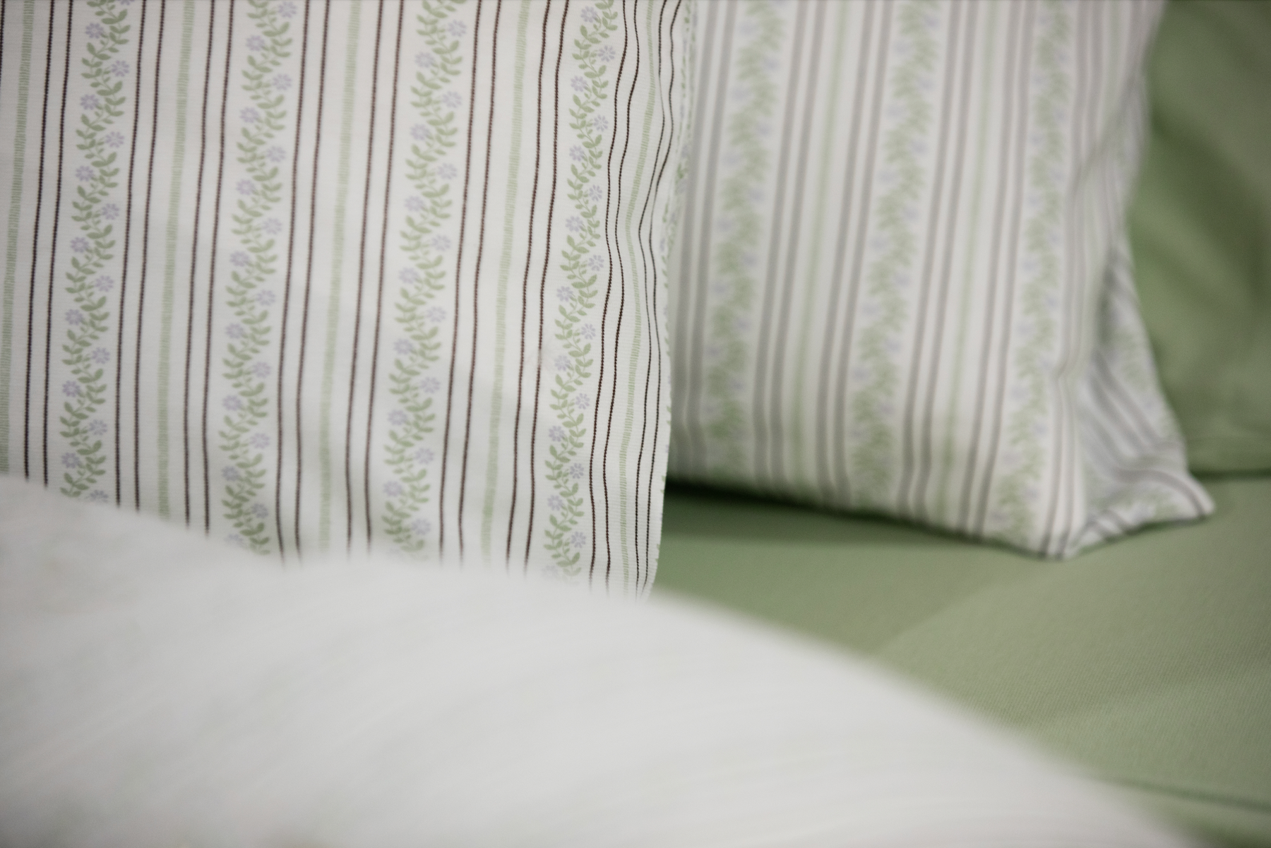 Jersey Sham Set - Greenhouse Stripe