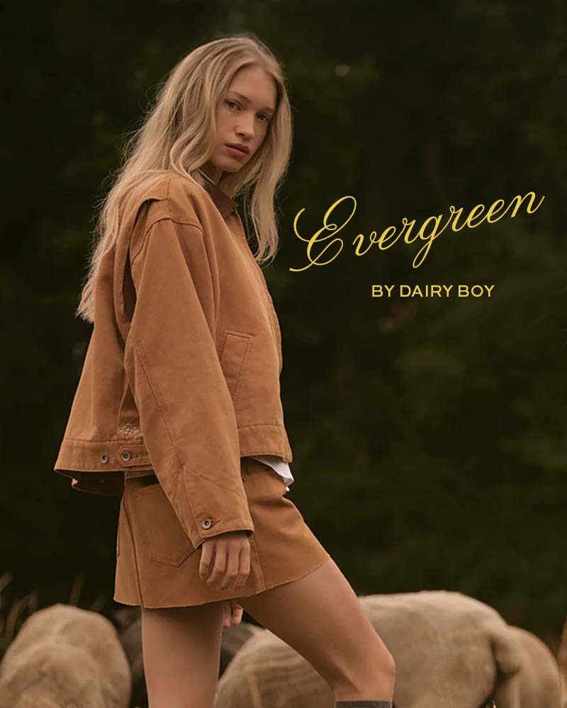 dairy boy evergreen
